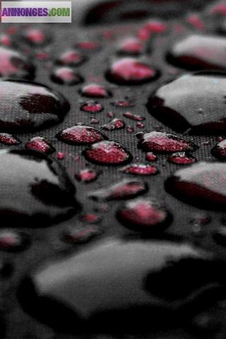 Conseiller Ind Cosmétique