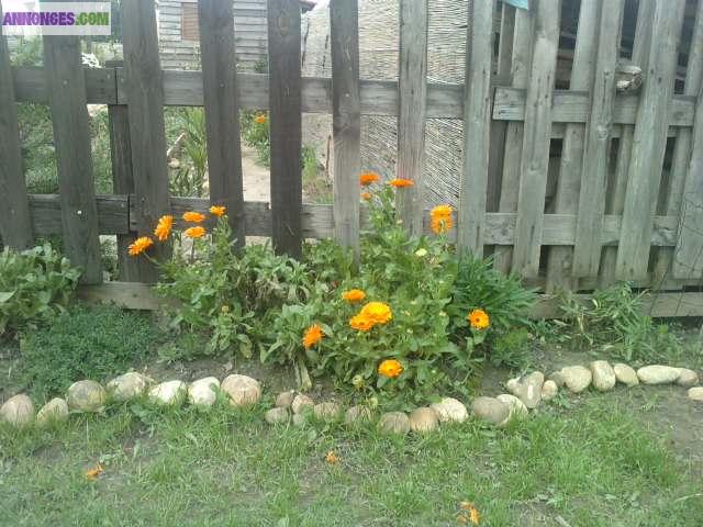 TERRAINS LOISIR A LOUER