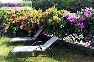 Location bungalow ste anne guadeloupe