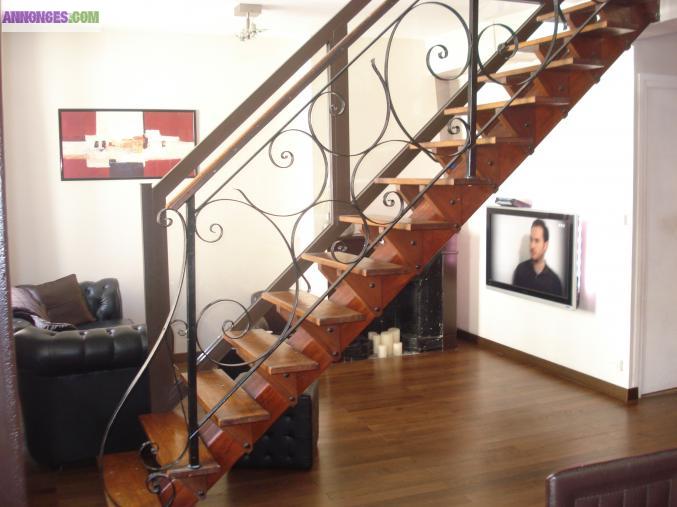 Duplex 101 M2 - Centre de Vienne