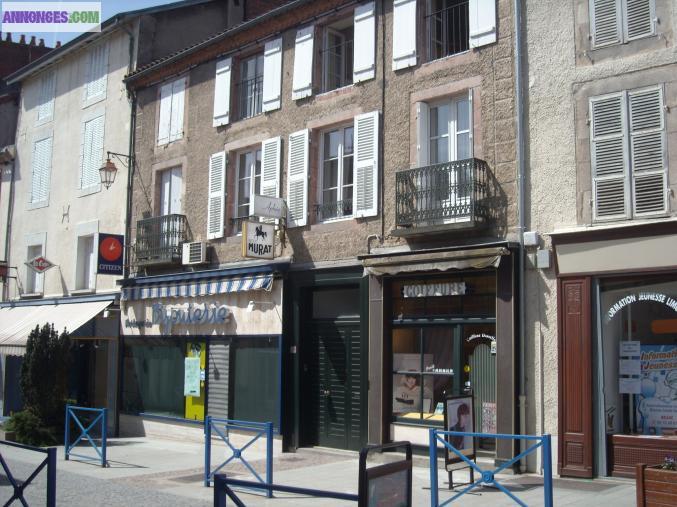 Local commercial ou professionnel