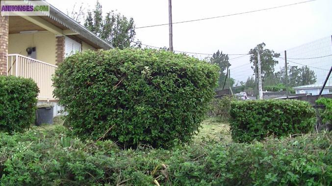 Maison F 3/4 entièrement rénovée