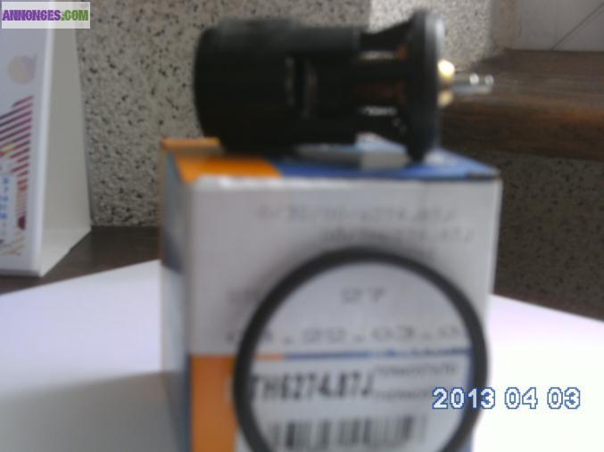 Thermostat (calorstat)