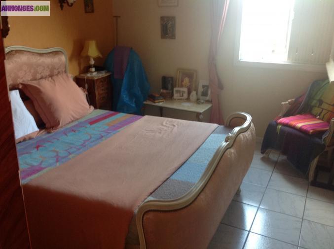 Appartement viager occupé