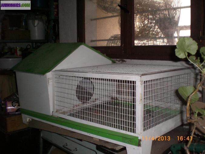 Habitat pour lapin nain
