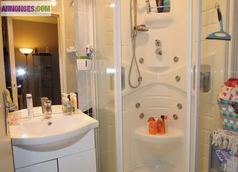 Très Bel Appartement à WATTIGNIES