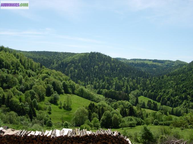 3 CHALETS + MAIS. AV