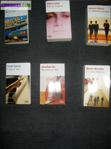 Lot de 21 livres RECENTS jeunesse/adulte (PARFAIT ETAT)