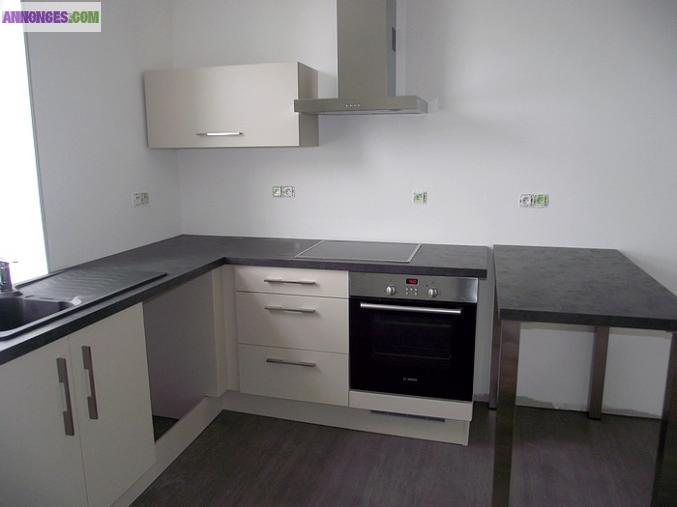 5 mn de villeneuve d'ascq Superbe Duplex refait à neuf ...