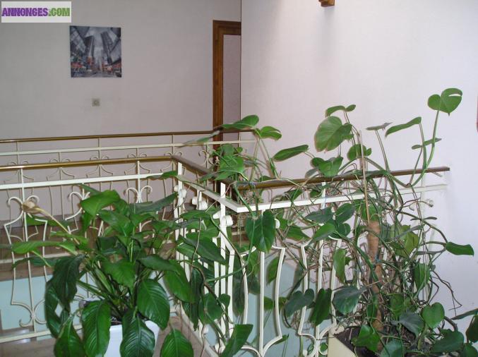 Chambre meublee longwy