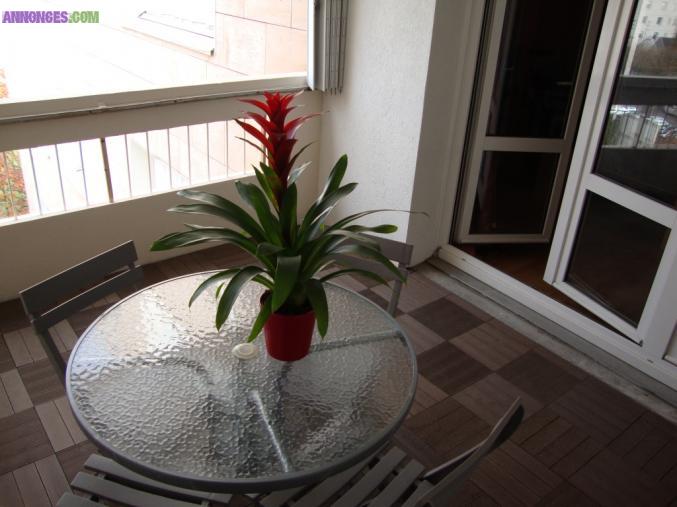 Appartement T4 REIMS