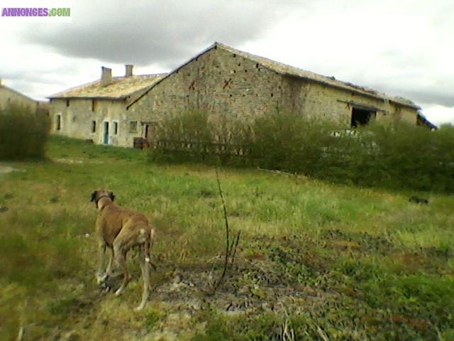 Sur 1 HECTARE ancienne FERME EQUESTRE