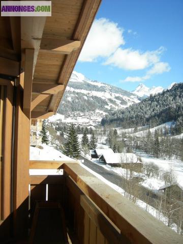 Au coeur du massif des Aravis, magnifique chalet en bois brossé