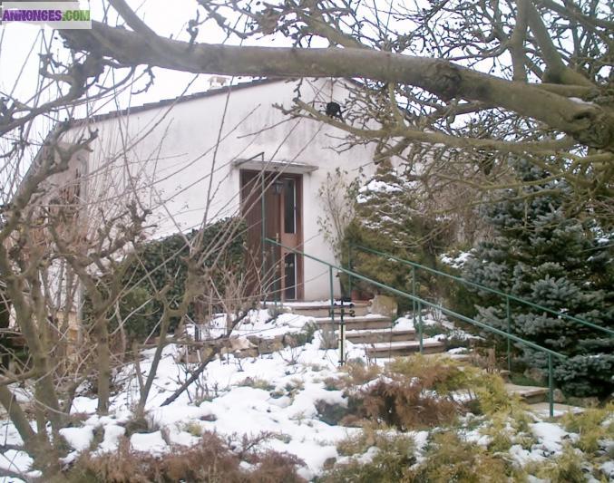 JOLI PAVILLON DANS CHABLISIEN A TONNERRE AVEC JARDIN