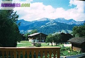 L'Espace Diamant l'été - appt à CREST VOLAND