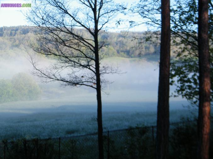 Vente chalet en bois