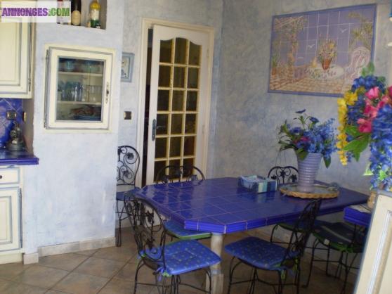 Seysses grande maison provencale de 300 m2