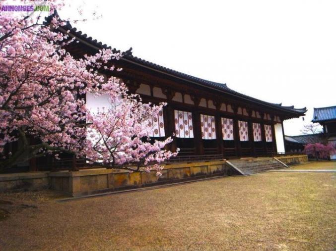 Recherche location 45