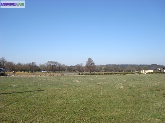 Terrain contructible