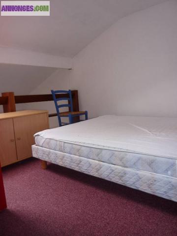 Loue T1 bis. Toulouse quartier Jardin des Plantes