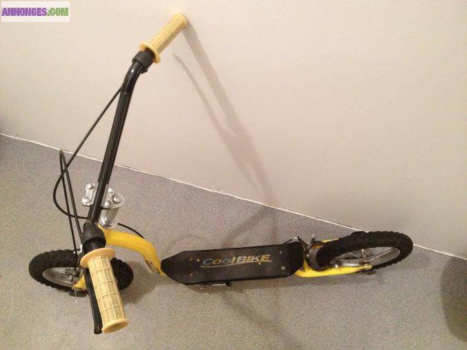 Trottinette professionnelle