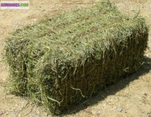 Vend fourrage de prairie naturelle