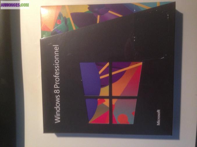 Windows 8 professionnel