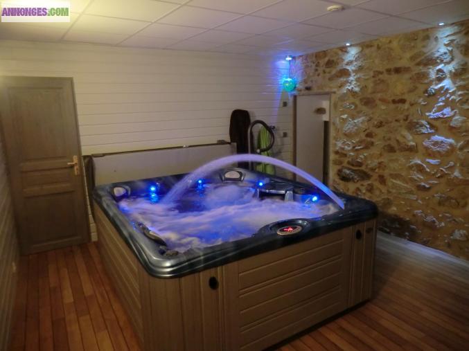 Gîte avec SPA privé