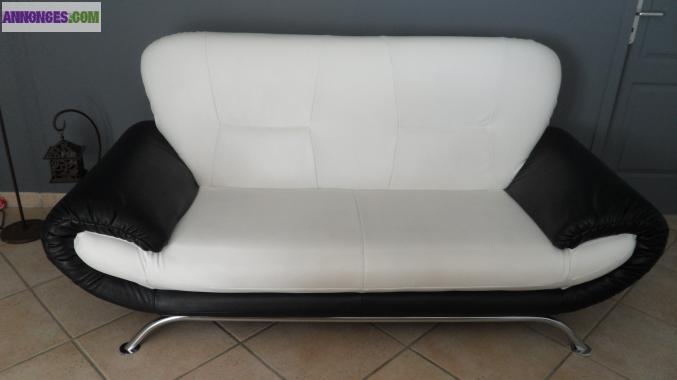 Moi le canapé de vos envies (prix négociable)