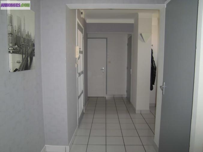 Appartement saint etienne