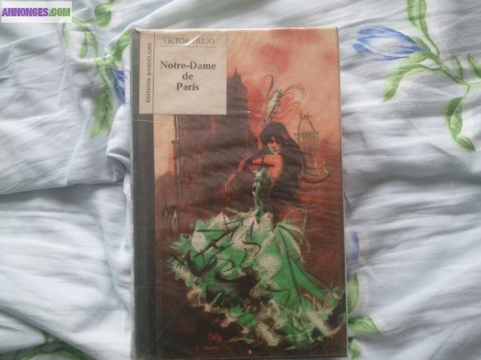 Notre dames de paris de victor hugo