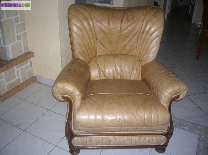 Fauteuils cuir 35 euros
