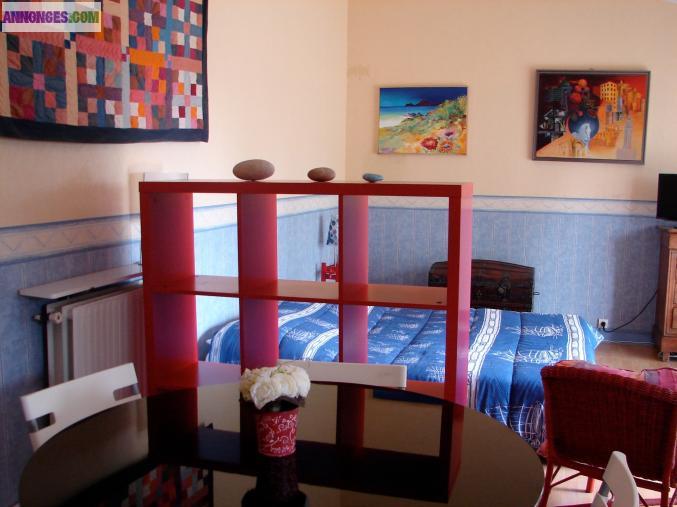 Grand studio Rez de jardin