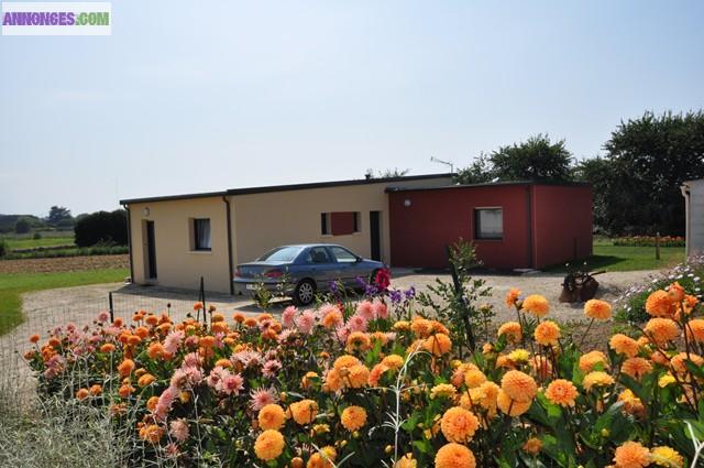 Maison 8 pers à 100 m mer à Brignogan-Plages