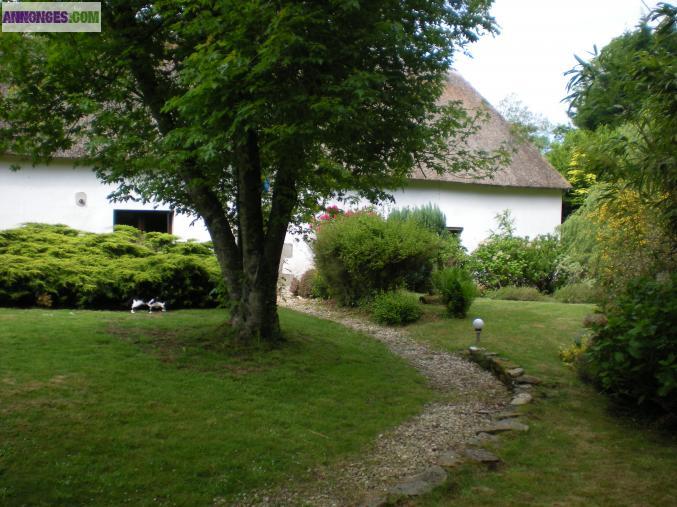 Chaumières sur 8000m²