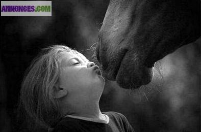 PRILLY - Atelier "Approche du Cheval" enfants jusqu'à 10 ans