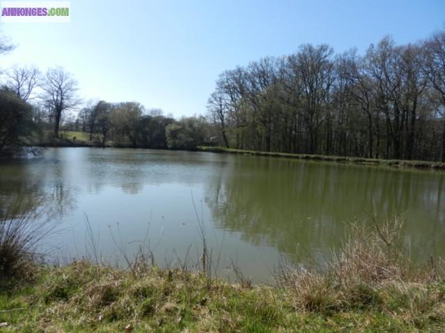Chambres et table d'hôtes