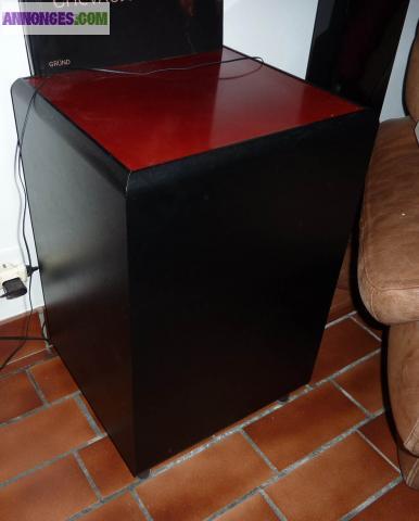 Caisson de basse 100w -SA100 Proton