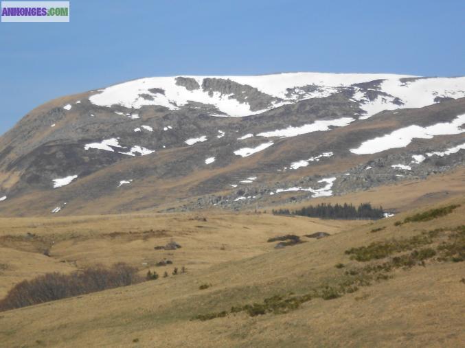 Location maison de campagne "Creusoise"