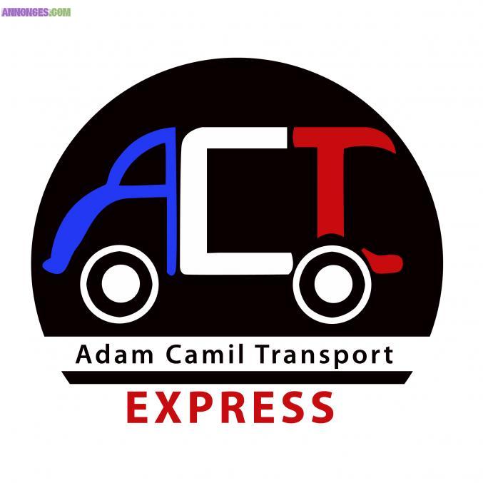 Transporteur demenageur