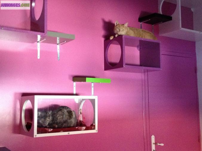 Garde d'animaux CHIENS CHATS RONGEURS SANS BOX 62