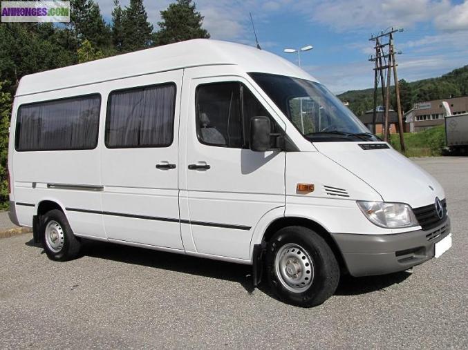 Mercedes-Benz Sprinter COMBI 313 CDI