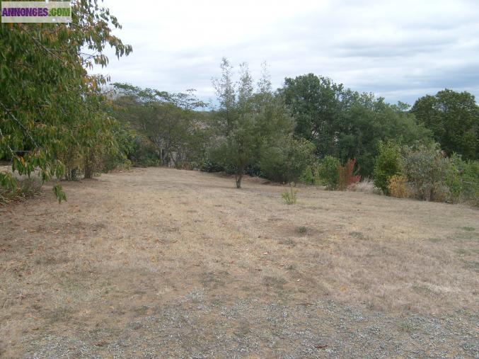 Vend terrain a batir