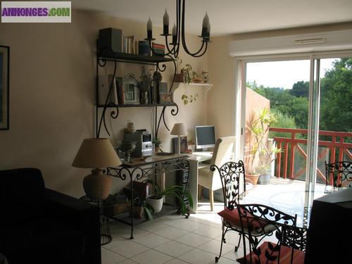 Splendide appartement T2 à louer