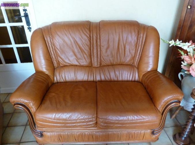 Canape cuir 