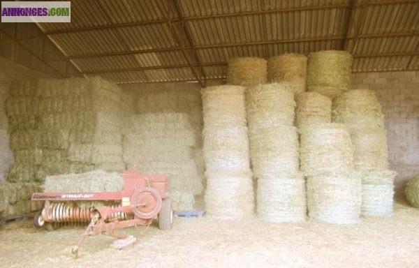 Vend fourrage de prairie naturelle