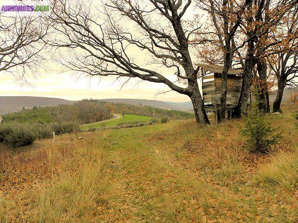 Vente mas en Luberon