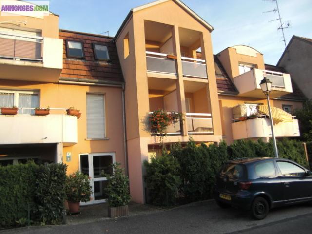 FEGERSHEIM BEAU STUDIO