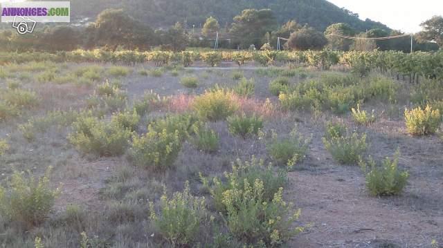 Terrain constructible