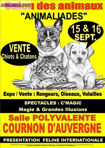 15/16 sept 2012 ANIMALIADES COURNON salle polyvalente 1er salon des animaux